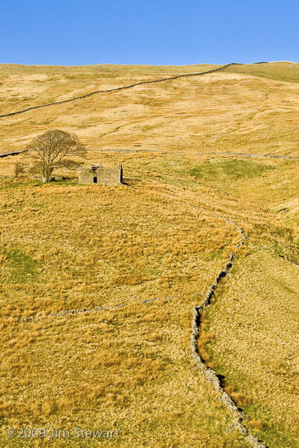 Field barn and dry stone dykes, Denthead