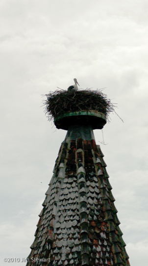 Stork's nest at Ribeauvillé