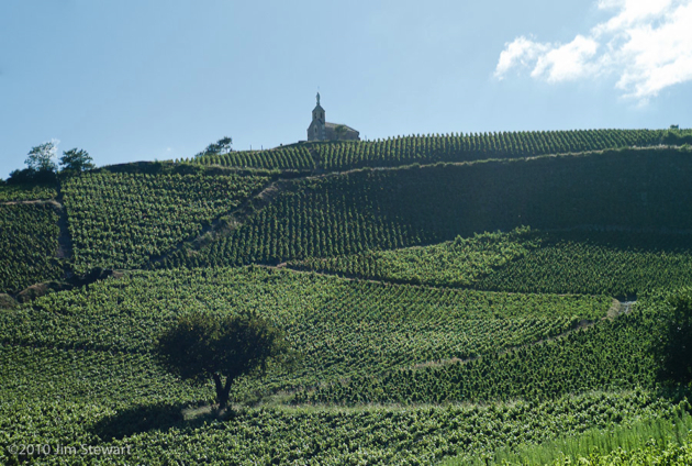 Beaujolais vineyards near Fleurie