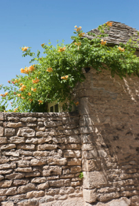 Flavigny-sur-Ozerain, Ville Fleurie