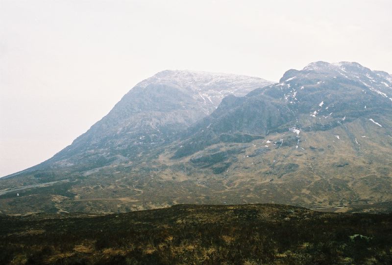 cnv00012_1.jpg