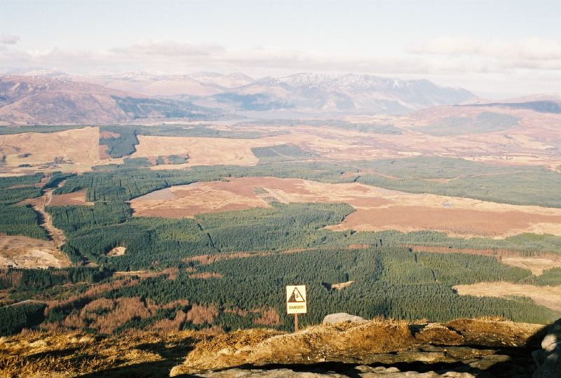 cnv00021_1.jpg